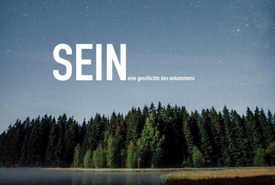 Titelbild des Kurzfilms „Sein“ mit Sternenhimmel und Nadelwald