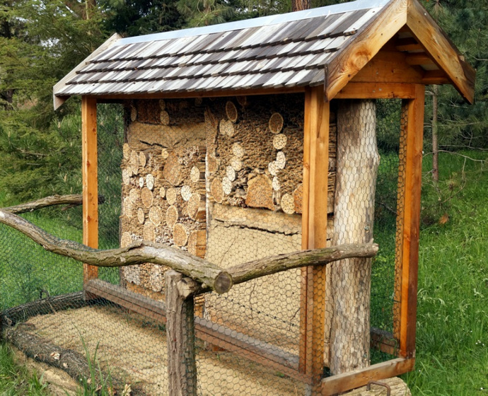 Insektenhotel im botanischen Garten