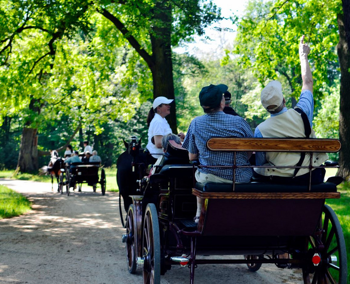 Kutschfahrt durch den Schlosspark Bad Muskau