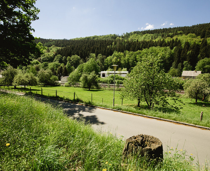 Wiese und Wald