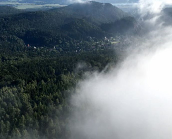 Blick vorbei an Wolken ins bewaldete Tal