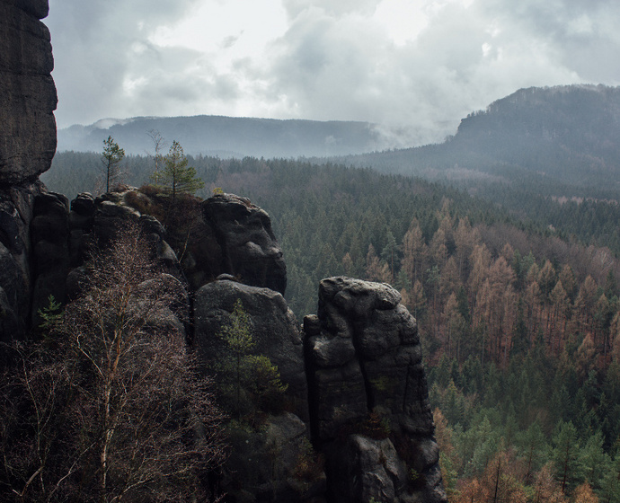 Felsvorsprünge über dem Wald