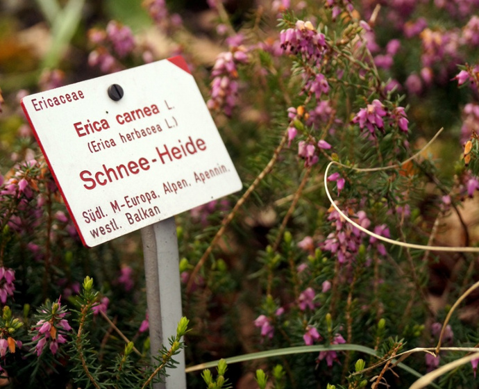 Pflanzen mit Beschilderung