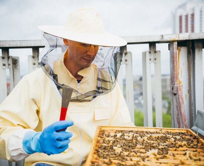 Rémy Fichet mit Bienenwaben