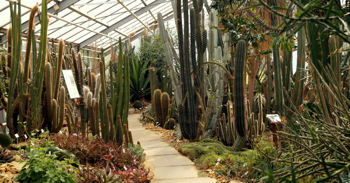 Botanischer Garten der Technischen Universität Dresden.