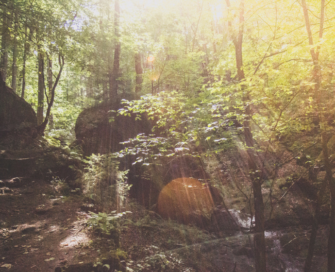 Sonnenstrahlen, Wald und Felsen