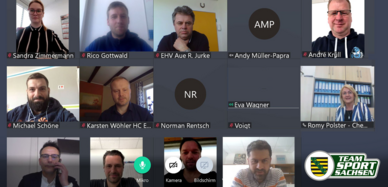Teamsport Sachsen Videocall
