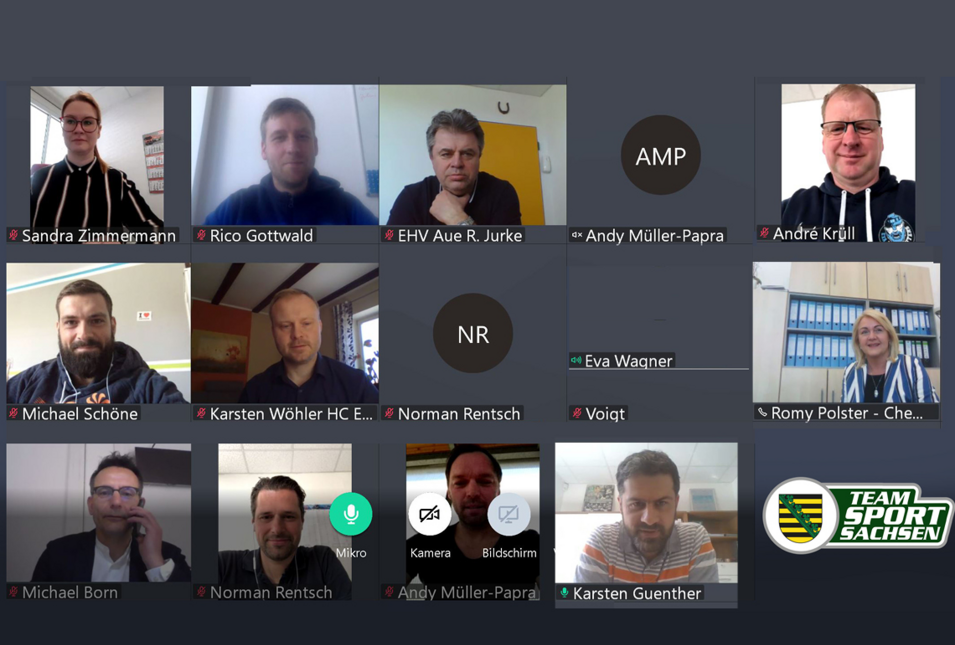Teamsport Sachsen Videocall