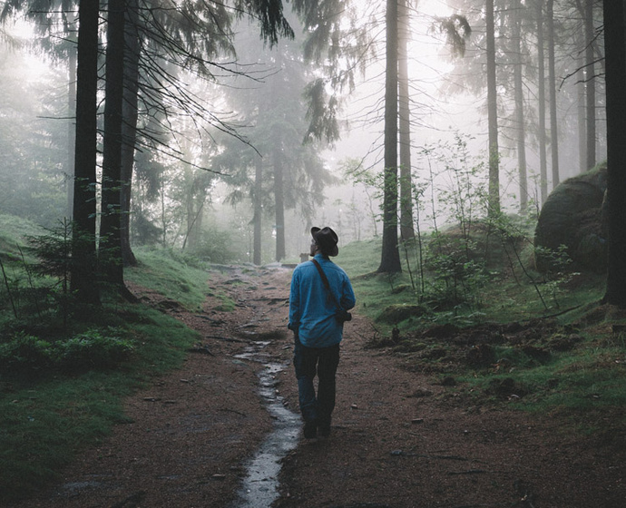 Wanderer auf dem Pfad im nebligen Wald