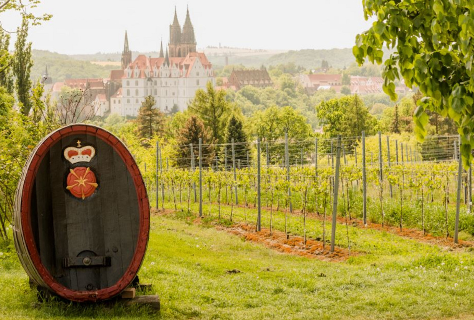 Weinfass im Weinanbaugebiet