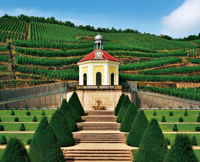 Das Belvedere und die Weinberge hinter Schloss Wackerbarth
