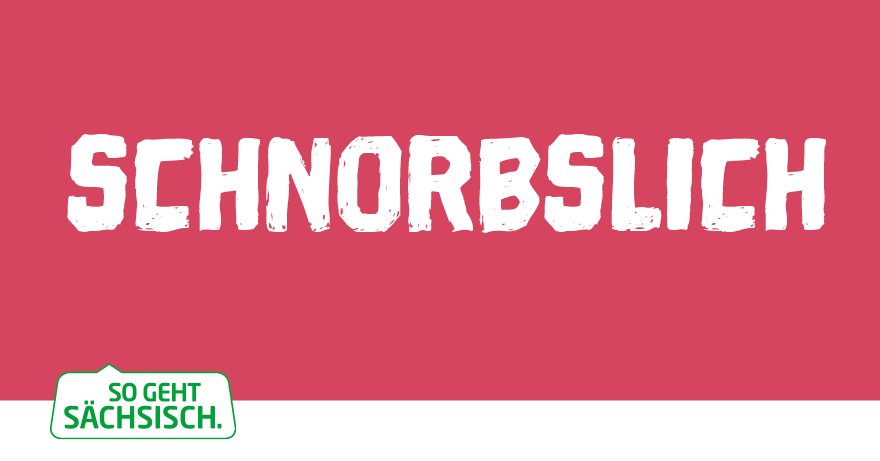 www.so-geht-saechsisch.de