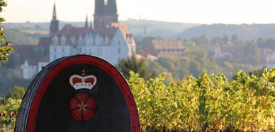 Blick von den Proschwitzer Weinbergen auf das historische Meißen