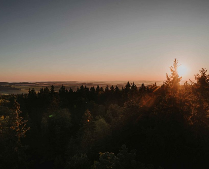 Sonnenuntergang hinter Wald