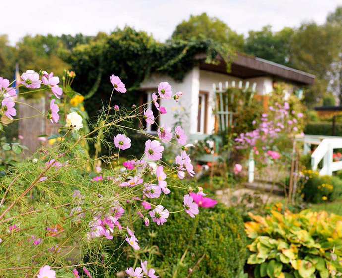 Blumen vor Gartenlaube