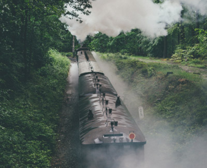Die Schmalspurbahn bahnt sich ihren Weg durch den Wald