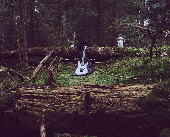 Gitarre im Wald