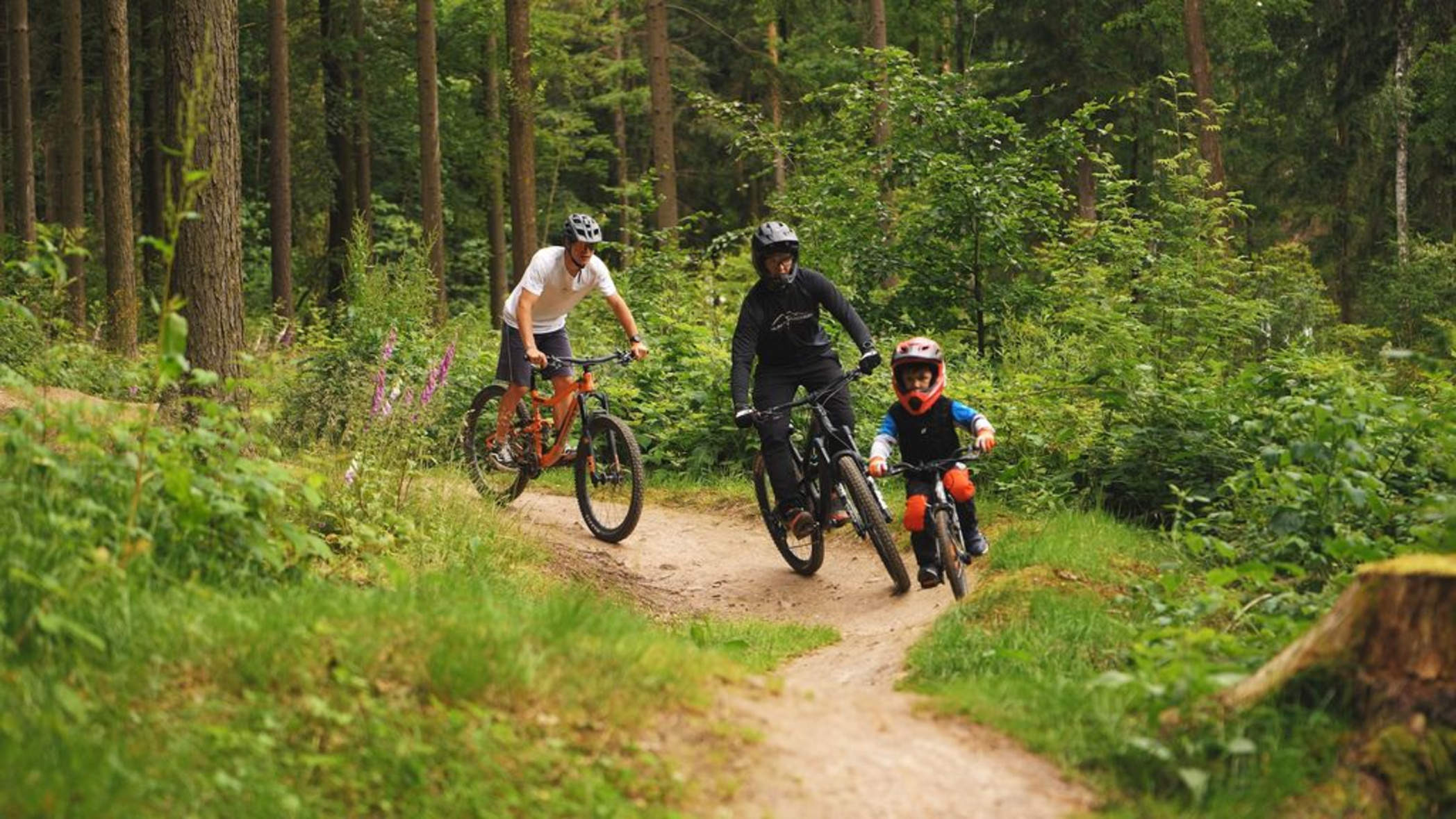Dein BikeSommer in Sachsen So geht sächsisch.