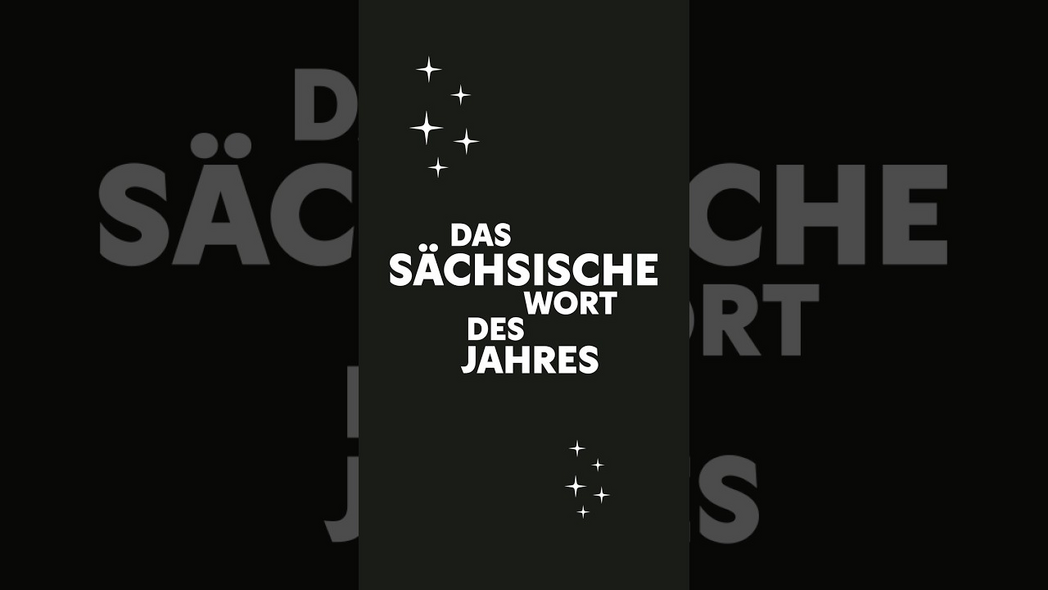 Das Sächsische Wort des Jahres 2025: RABUSCHE | #sogehtsächsisch