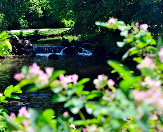 Teich im Schlosspark Bad Muskau
