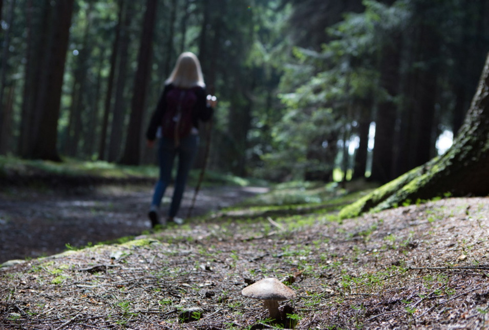 Frau auf Wanderweg