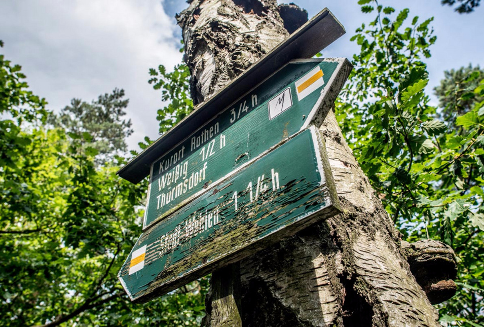 Wegweiser in der sächsischen Schweiz