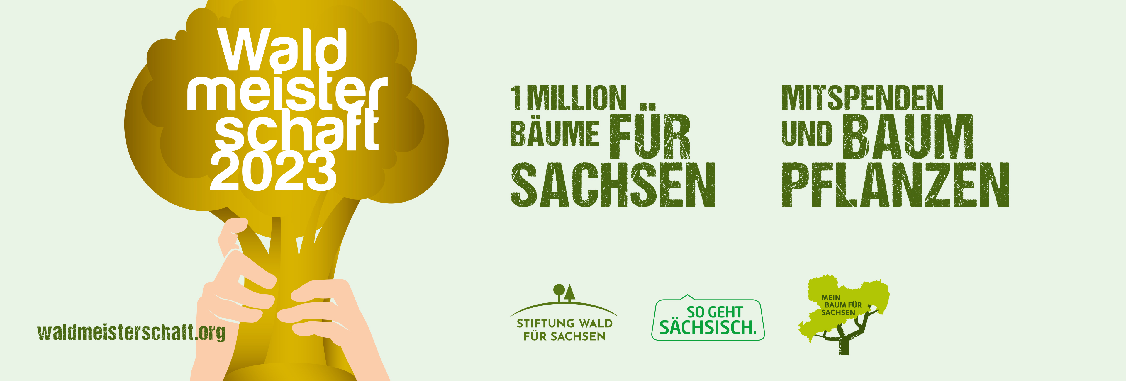Spendenaufruf: Mehr Wald für Sachsen!